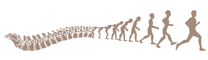 Maxence Lecointe Ostéopathe